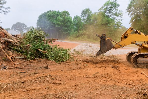 Ground Clearing in Paducah