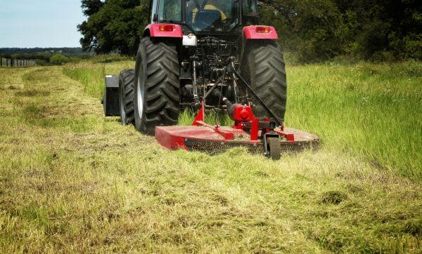 Brush Clearing Service in Paducah