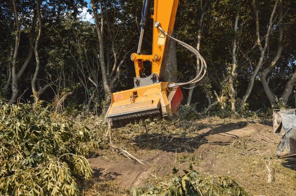 Brush Removal Service in Paducah