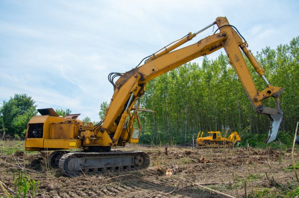 Cost of Farm Clearing in Paducah