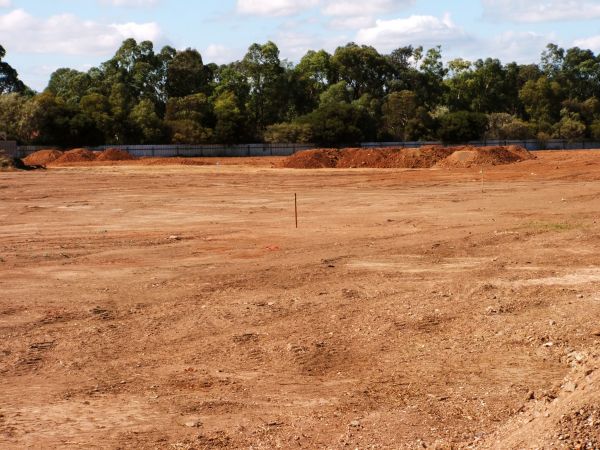 Cost of Field Clearing in Paducah
