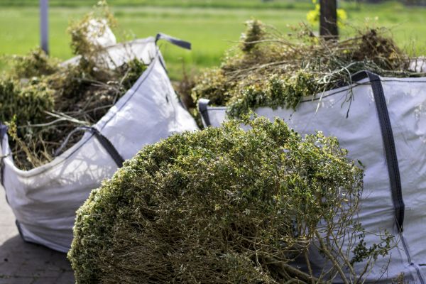 Cost of Bushes Clearing in Paducah