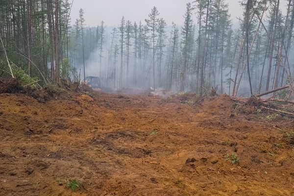 Cost of Hill Clearing in Paducah