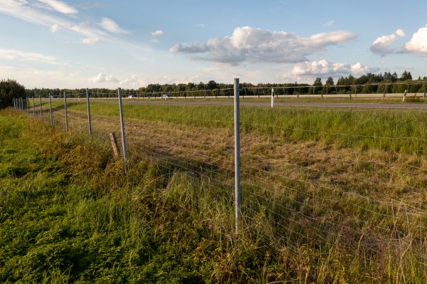Cost of Property Line Clearing in Paducah