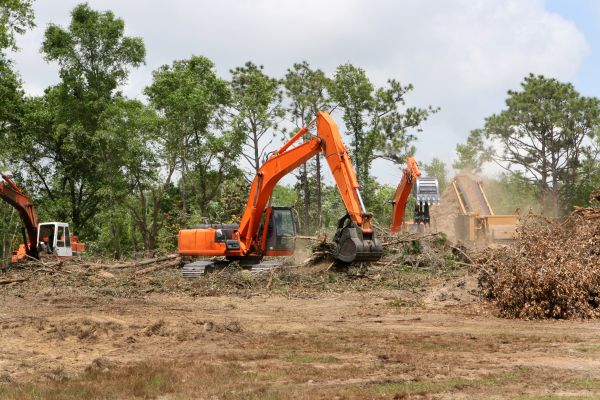 Cost of Commercial Lot Clearing in Paducah